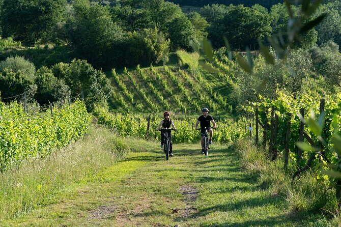 Montecarlo E-Bike One Day Tour with Lunch and Tasting - Key Highlights You’ll Care About