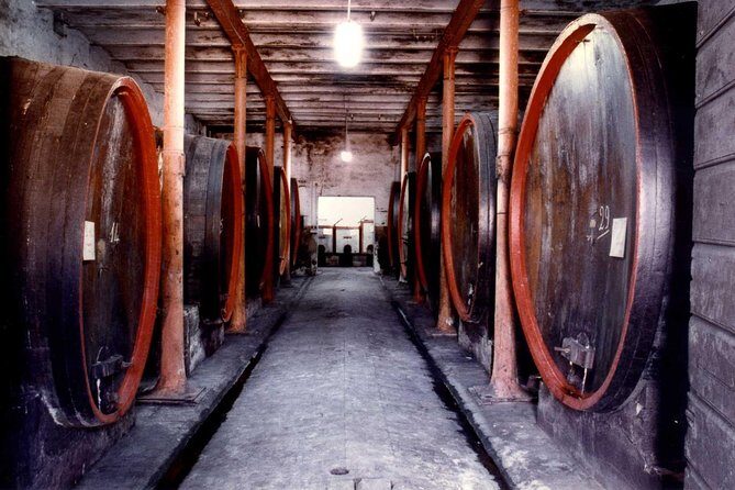 Montefalco: Historic cellar and vineyard tour with wine tasting - Key Things I’d Plan Around