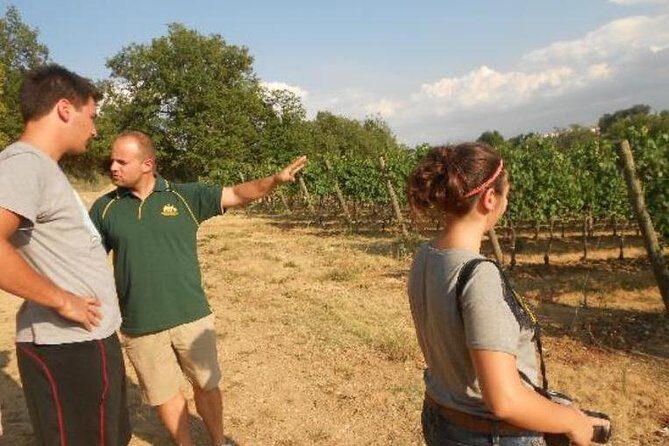 Montefalco: Winery and Oil Mill Tour in with Light Lunch - Montefalco’s Sagrantino focus: wine and olive oil together