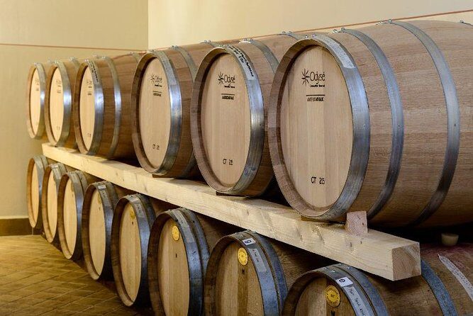 Montefalco: Winery and Oil Mill Tour in with Light Lunch - Price and value: what $83.01 buys you (and why it’s not just the tasting)