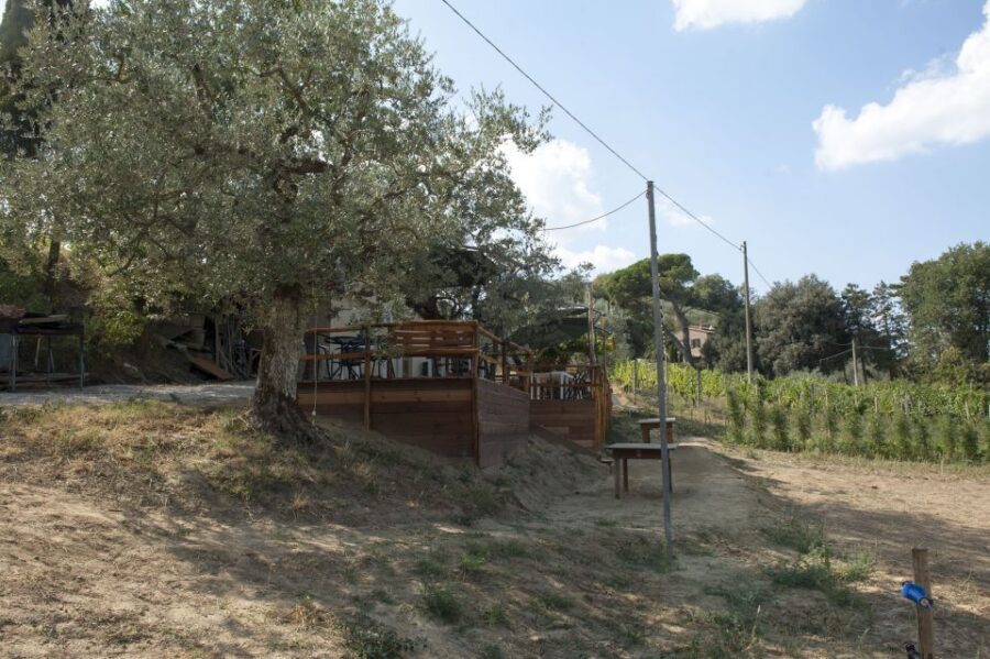Montepulciano: Cinta Senese Tour With Food Tasting - Who This Works Best For (and Who Might Want Something Else)