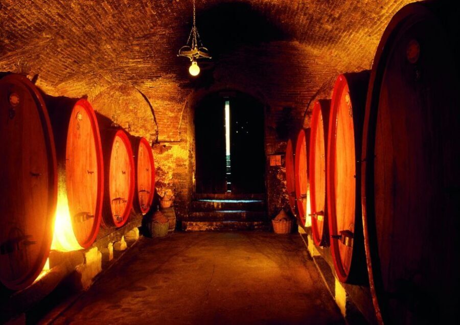 Montepulciano: Guided Walking Tour and Food Tasting - Stop at a local store: locally produced products, explained