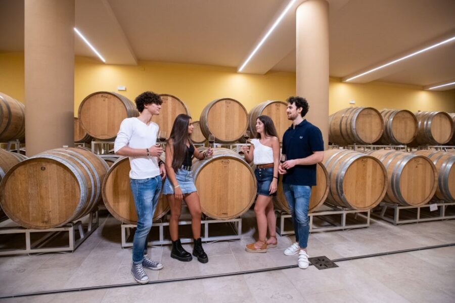 Montepulciano: Guided Wine Tasting Tour with Lunch - Three winery stops: watch how the process changes