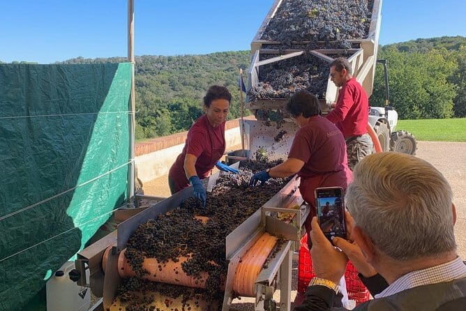 Montepulciano Pienza Montalcino Tour from Florence - Why this Tuscany day trip works so well from Florence