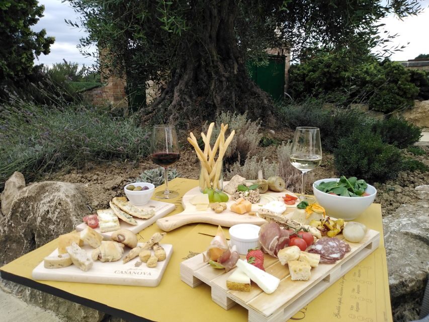 Montepulciano: Tuscan Winery Tour with Wine Tasting & Meal - The 1-hour winery walk: from grapes to aging in Tuscany
