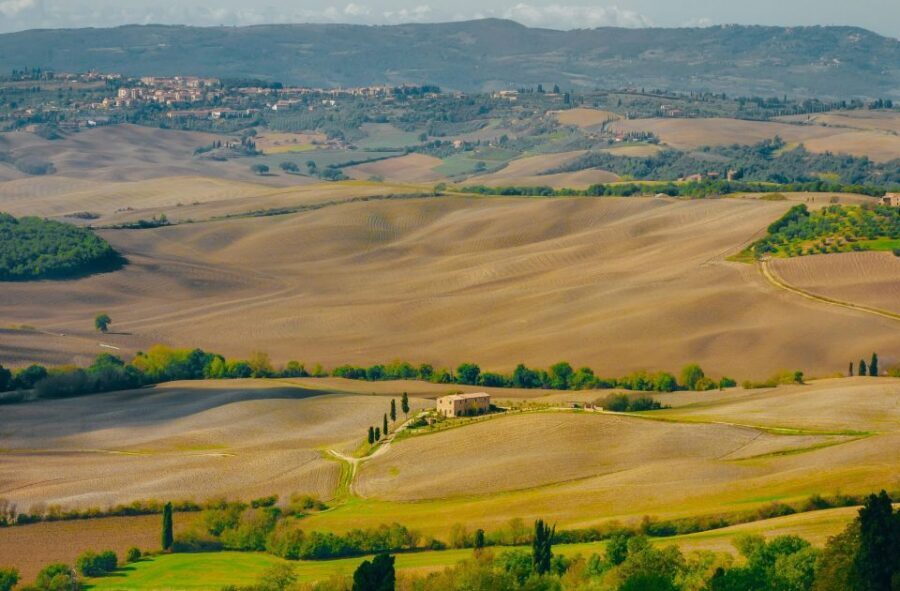 Montepulciano: Wine Tasting & Lunch in a Typical Winery - Four Local Wines, Snack Pairing, and the DOCG Meaning
