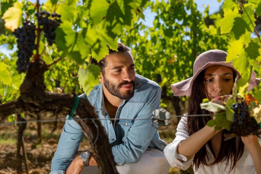 Montepulciano: Wine Tasting with typical Tuscan Cold Cuts - Montepulciano’s wine lesson happens fast—and that’s a plus
