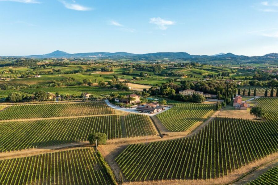 Montepulciano: Wine Tasting with typical Tuscan Cold Cuts - Fattoria Svetoni olive oil tasting: a practical Tuscany stop