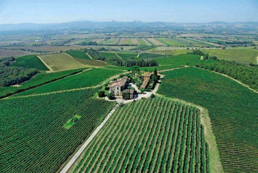 Montepulciano: Wine Tour and tasting - Key things I’d clock before you go