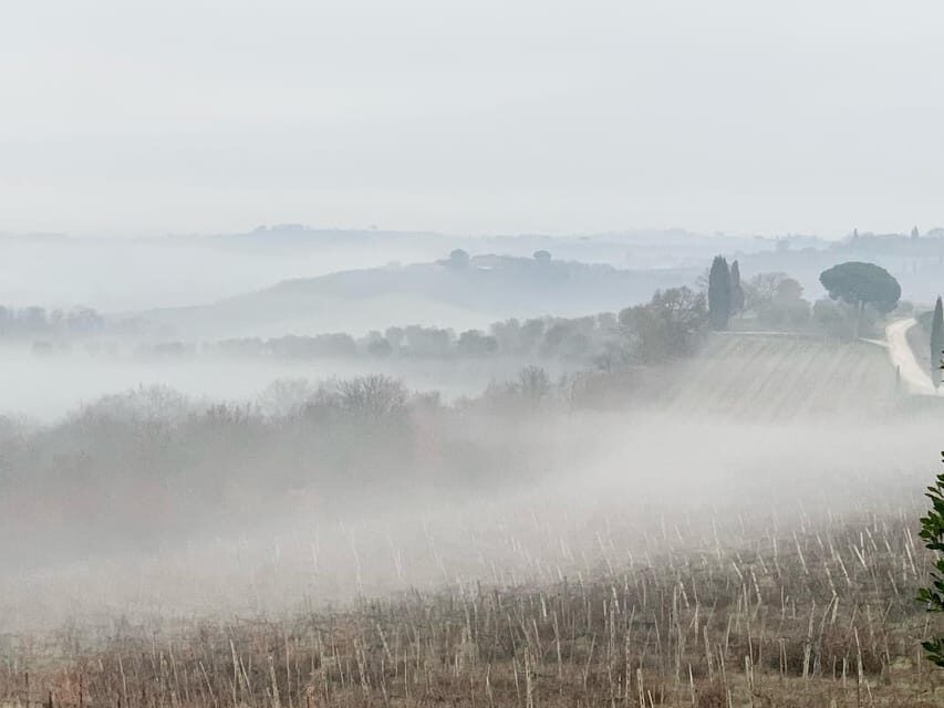 Montepulciano: Wine Tour and tasting - Book it or pass: my practical verdict
