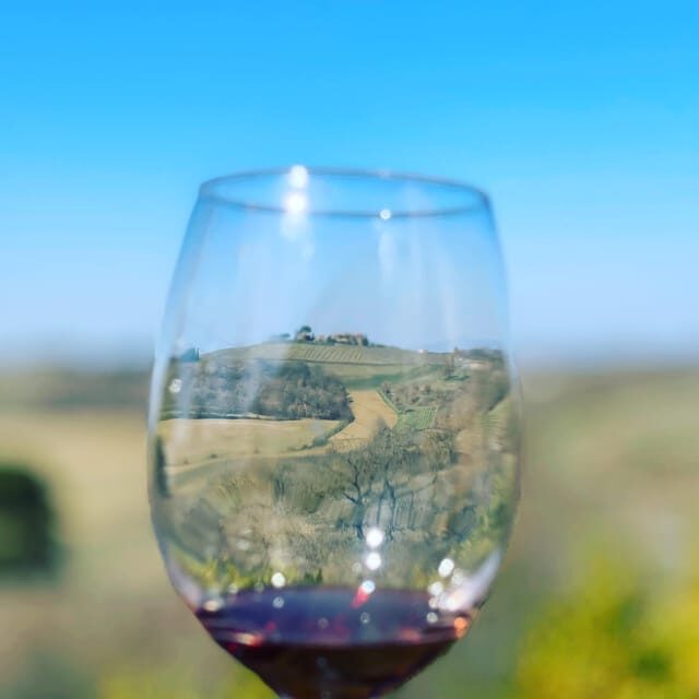 Montepulciano: Wine Tour and tasting - Touring a centenary Valiano winery above Montepulciano