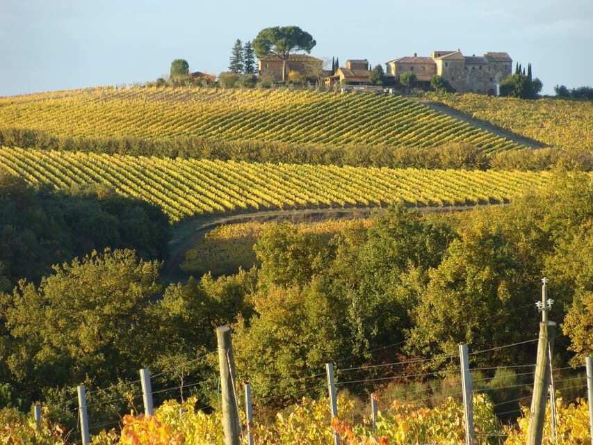 Montepulciano: Wine Tour and tasting - Terrace tasting: 6 labels with a Montepulciano view