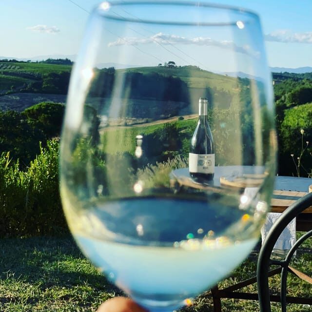 Montepulciano: Wine Tour and tasting - Price and value: is $61 reasonable for this 1.5-hour tour?