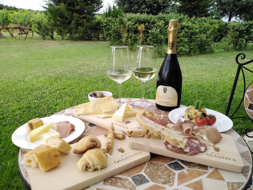 Montepulciano: Winery Tour, Tasting, and Vineyard Picnic - Key highlights to know before you go