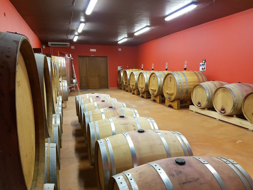 Montepulciano: Winery Tour, Tasting, and Vineyard Picnic - Arriving at Podere Casanova: views, timing, and the private-group feel
