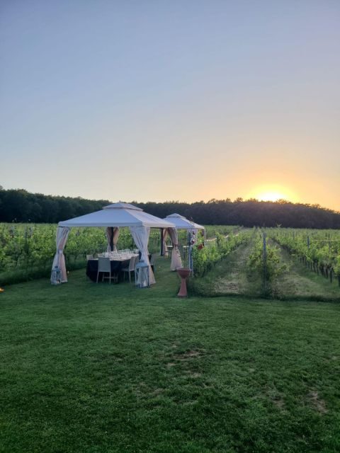 Montepulciano: Winery Tour, Tasting, and Vineyard Picnic - Wine tasting hour: what you taste and how to get the most from it