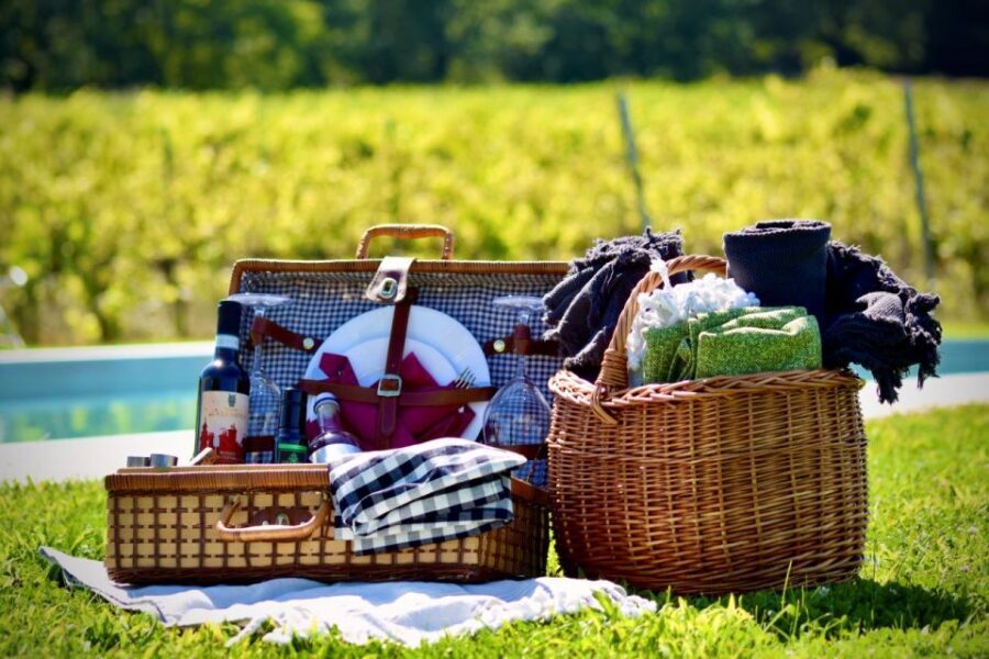 Montepulciano: Winery Tour, Tasting, and Vineyard Picnic - Who this Montepulciano vineyard picnic tour is best for