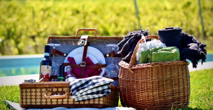 Montepulciano: Winery Tour, Tasting, and Vineyard Picnic - Should you book this Montepulciano winery tour with picnic?