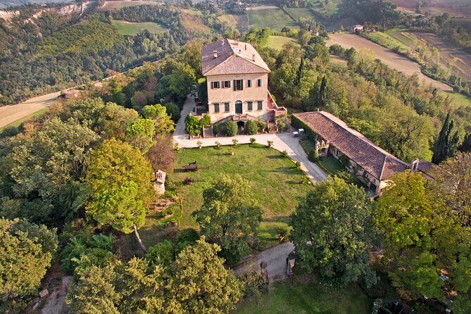 Montevecchio Isolani wine tasting experience - Key highlights you should know before you go