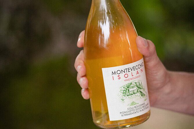 Montevecchio Isolani wine tasting experience - Pairing this tour with your Bologna day