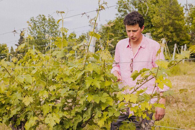Montevecchio Isolani wine tasting experience - Who should book this Montevecchio Isolani wine tasting?