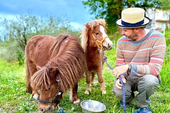 My Tuscan Farm - Three Experiences in One Day - Value in Real Terms: Price, Food, Wine, and the Extra Minibus Fee