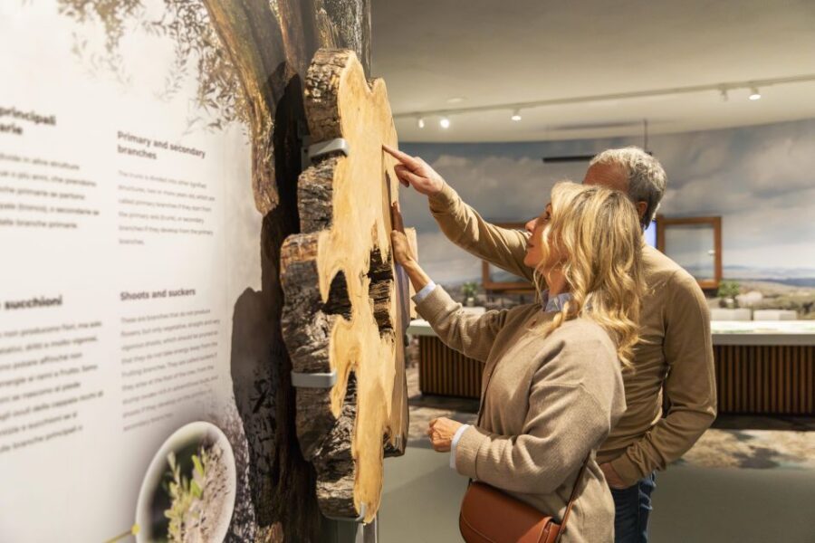 Oil Museum and Mill in Tuscany: interactive tour and tasting - The 360° olive oil film and the giant-olive selfie moments