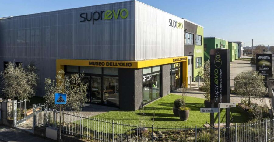 Oil Museum and Mill in Tuscany: interactive tour and tasting - Professional tasting of extra virgin oils and olive-oil–based bites