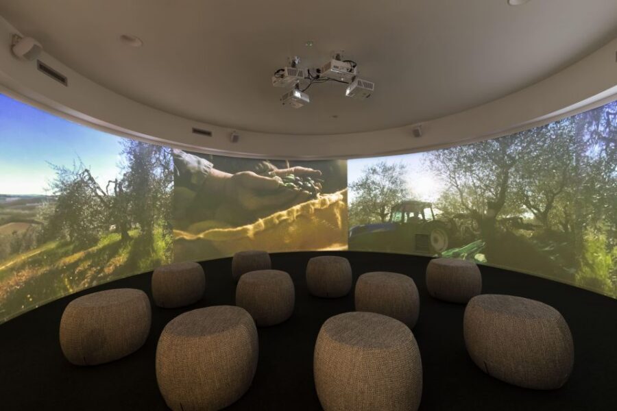 Oil Museum and Mill in Tuscany: interactive tour and tasting - The final shop and garden among Tuscan olive trees