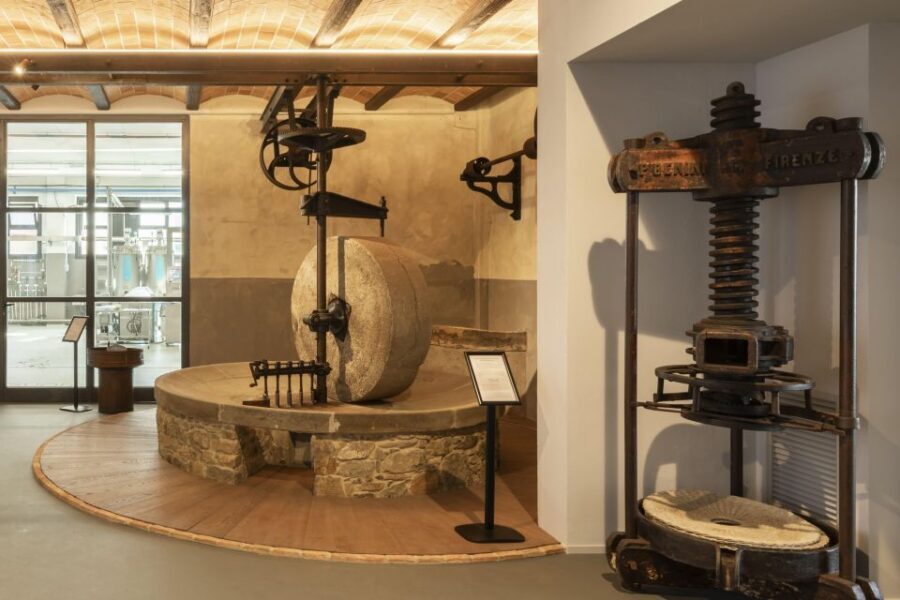 Oil Museum and Mill in Tuscany: interactive tour and tasting - Price and value for a 2-hour oil experience