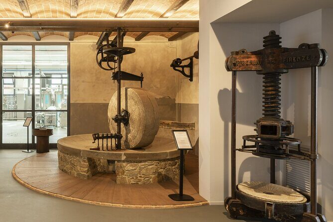 Oil museum and oil mill in Tuscany: tour and tasting - Ten discovery stages, not a random collection of exhibits