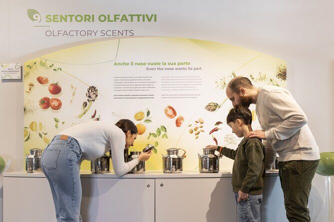 Oil museum and oil mill in Tuscany: tour and tasting - Mobile ticket and smooth, short timing for a busy day