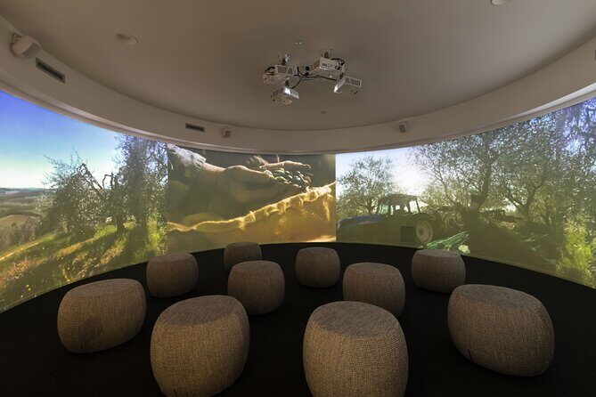 Oil museum and oil mill in Tuscany: tour and tasting - Price and value: why $24ish feels fair here