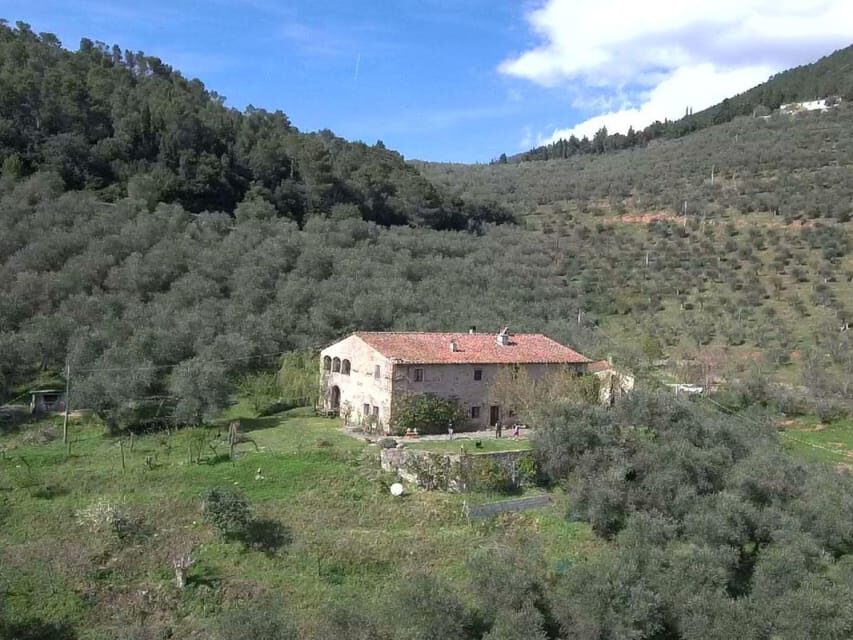 Olive Mill Tour with Oil and Food Tastings near Pisa - Starting point near Pisa: getting to Azienda Agricola Elter Francesco