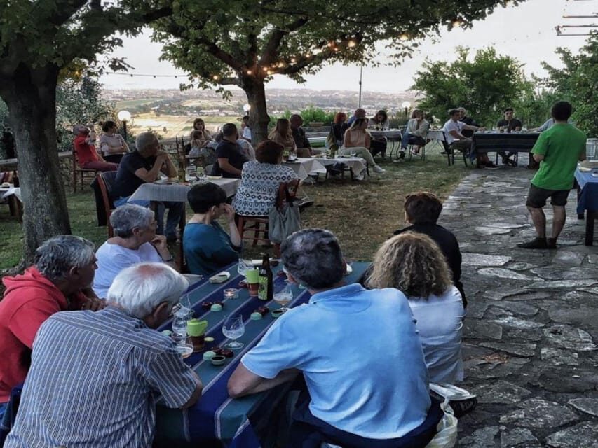 Olive Mill Tour with Oil and Food Tastings near Pisa - Price and value: what $35 buys (and what to watch)