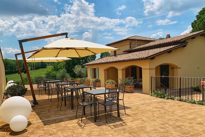 Olive Oil tasting with Olive Mill Tour in Umbria. - Key highlights at a glance