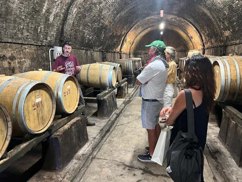 Organic Wine and Food Tasting at Historic Fattoria Majnoni - Stop 2: the terrace viewpoint with a San Gimignano-facing view