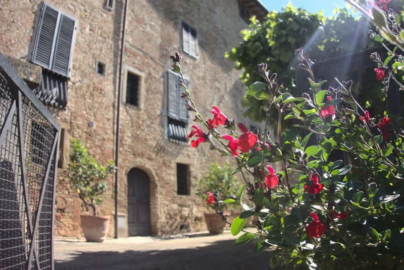 Organic Wine and Food Tasting at Historic Fattoria Majnoni - Vineyard time: organic and regenerative farming in real rows