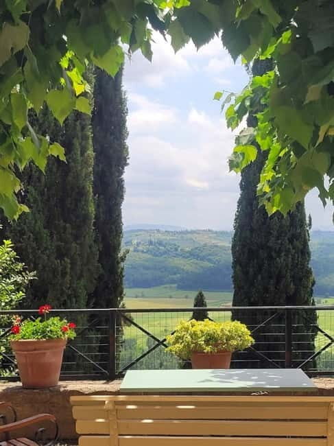 Organic Wine and Food Tasting at Historic Fattoria Majnoni - The old oil mill tasting: three organic wines plus brunch