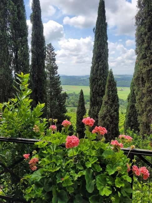 Organic Wine and Food Tasting at Historic Fattoria Majnoni - What makes the experience feel worth it (beyond the tasting)