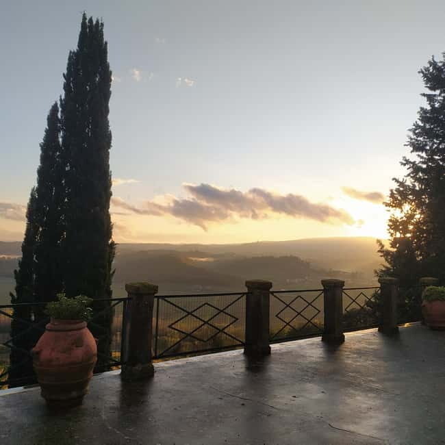 Organic Wine and Food Tasting at Historic Fattoria Majnoni - Price and value: is $73.64 a fair deal?
