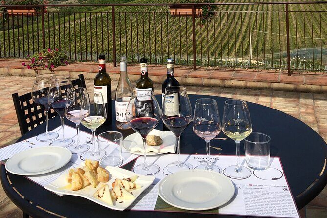 Organic Wine Tour&Tasting overlooking Chianti Classico Vineyards - Why Casa Emma’s Organic Chianti Tasting Feels Worth It