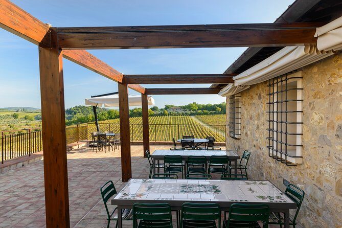 Organic Wine Tour&Tasting overlooking Chianti Classico Vineyards - The Panoramic Terrace Tasting: Chianti Classico and Supertuscan