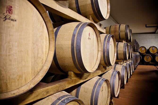 Organic Wine Tour&Tasting overlooking Chianti Classico Vineyards - Bread, Pecorino, Olive Oil, and Balsamic: The Pairing That Teaches Your Palate