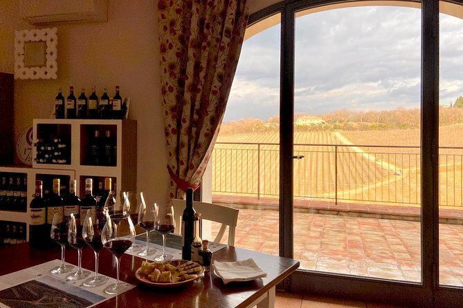 Organic Wine Tour&Tasting overlooking Chianti Classico Vineyards - Group Size, Timing, and How to Fit It Into Your Tuscany Day