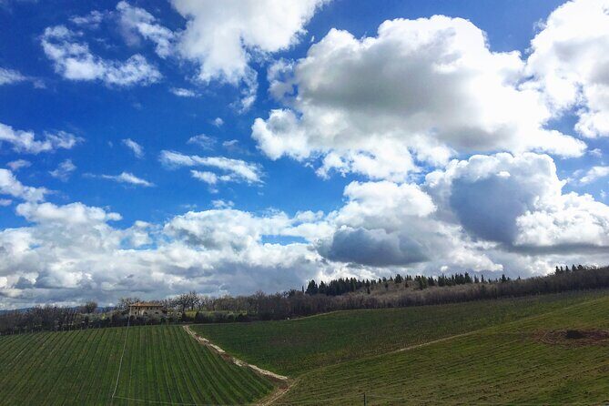 Organic Wine Tour&Tasting overlooking Chianti Classico Vineyards - Practical Logistics: Meeting Point, Language, and What to Bring