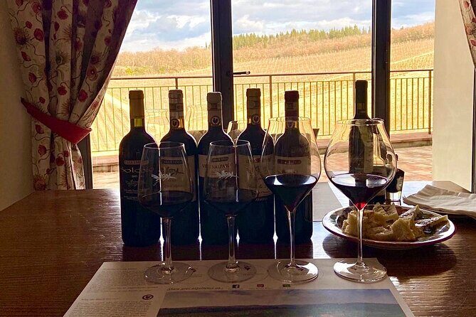 Organic Wine Tour&Tasting overlooking Chianti Classico Vineyards - The Cellar Walk: From Grapes to Barrels (and Why It Matters)