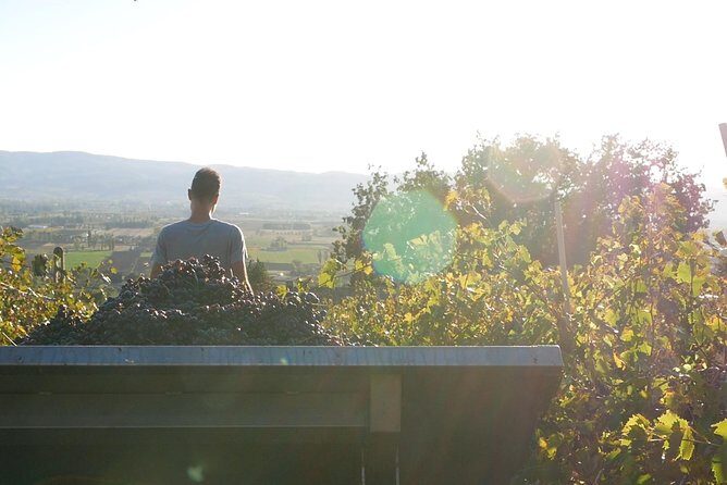 Organic Winery tour with Full Lunch from Assisi - Key things I’d pin to the top