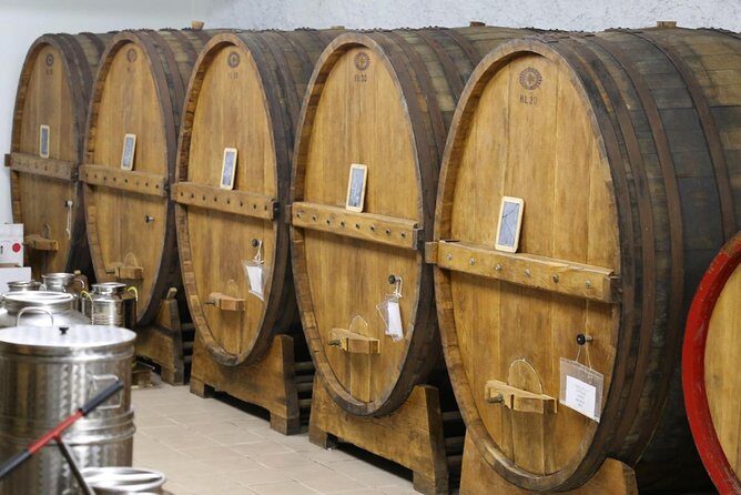 Organic Winery tour with Full Lunch from Assisi - From Assisi railway station to the hills: how the timing works