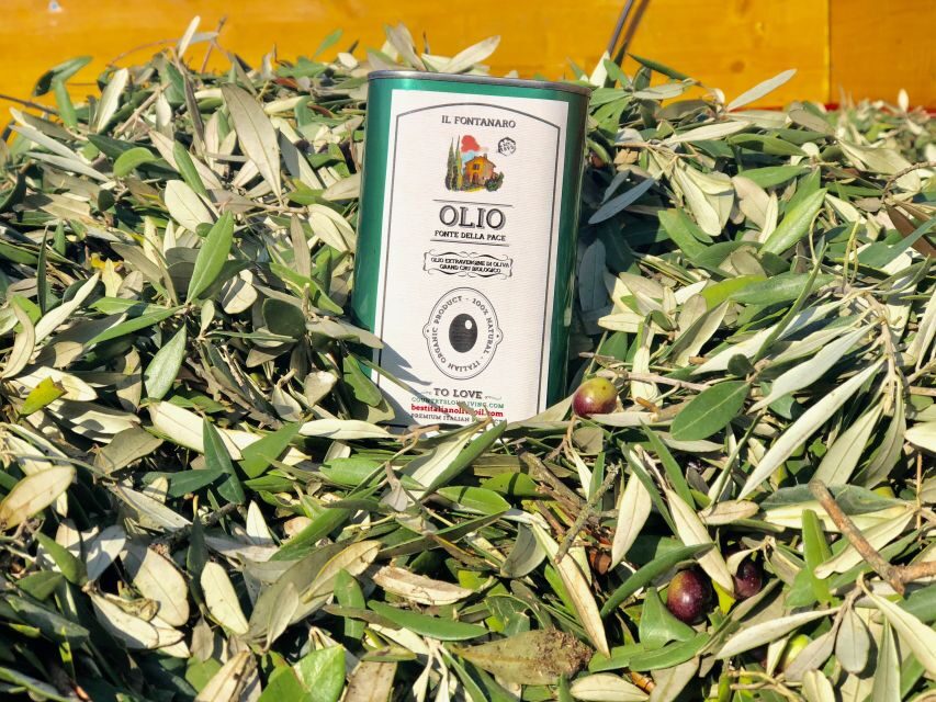 Paciano: Organic Cooking Class at a Farm with Lunch & Wine - The cooking lesson: pasta sauces plus tiramisu, led in English